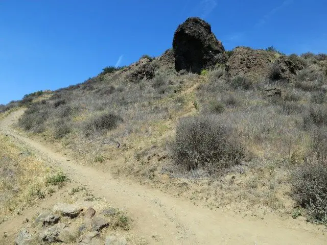 Lizard Rock