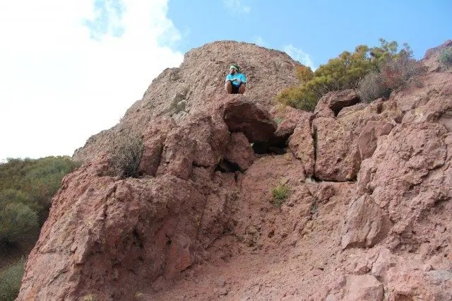 Wilderness Poop