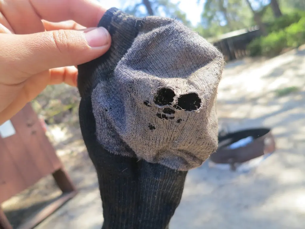 A close-up of a hand holding a black sock with large holes worn through the heel. The background shows a sandy ground with a metal fire pit and blurry trees. The sock appears old and well-used, reminding one of the durability promised by Darn Tough Socks.