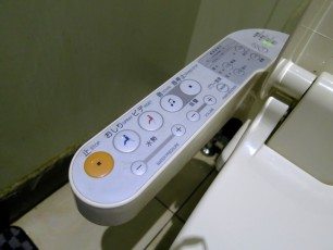 Fancy Toilet Controls