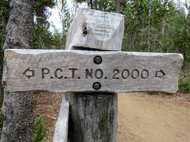 PCT NO 2000 Sign