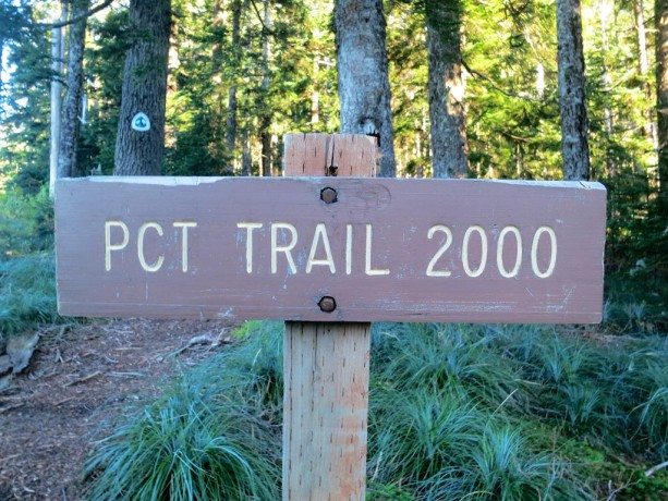 PCT Trail 2000 Sign 1
