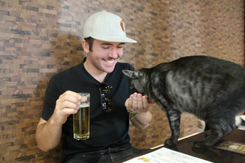 A man wearing a gray hat and holding a beer smiles at a gray tabby cat, affectionately known as Pussy in Japan, sniffing his other hand. They sit at a wooden table indoors, with sunglasses casually hanging from his shirt.