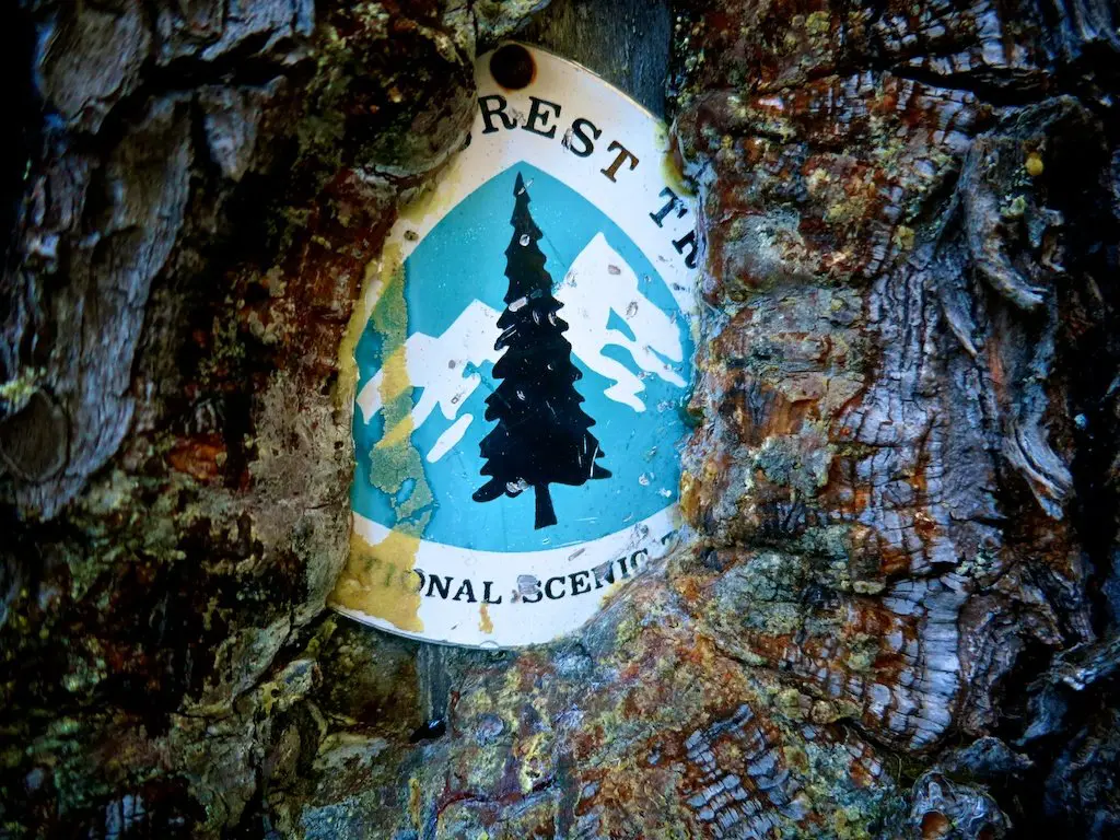A weathered trail marker embedded in a tree trunk displays a graphic of a pine tree against a blue background with white mountains, reminiscent of Pacific Crest Trail photos. Tree bark partially obscures the text around the edge.