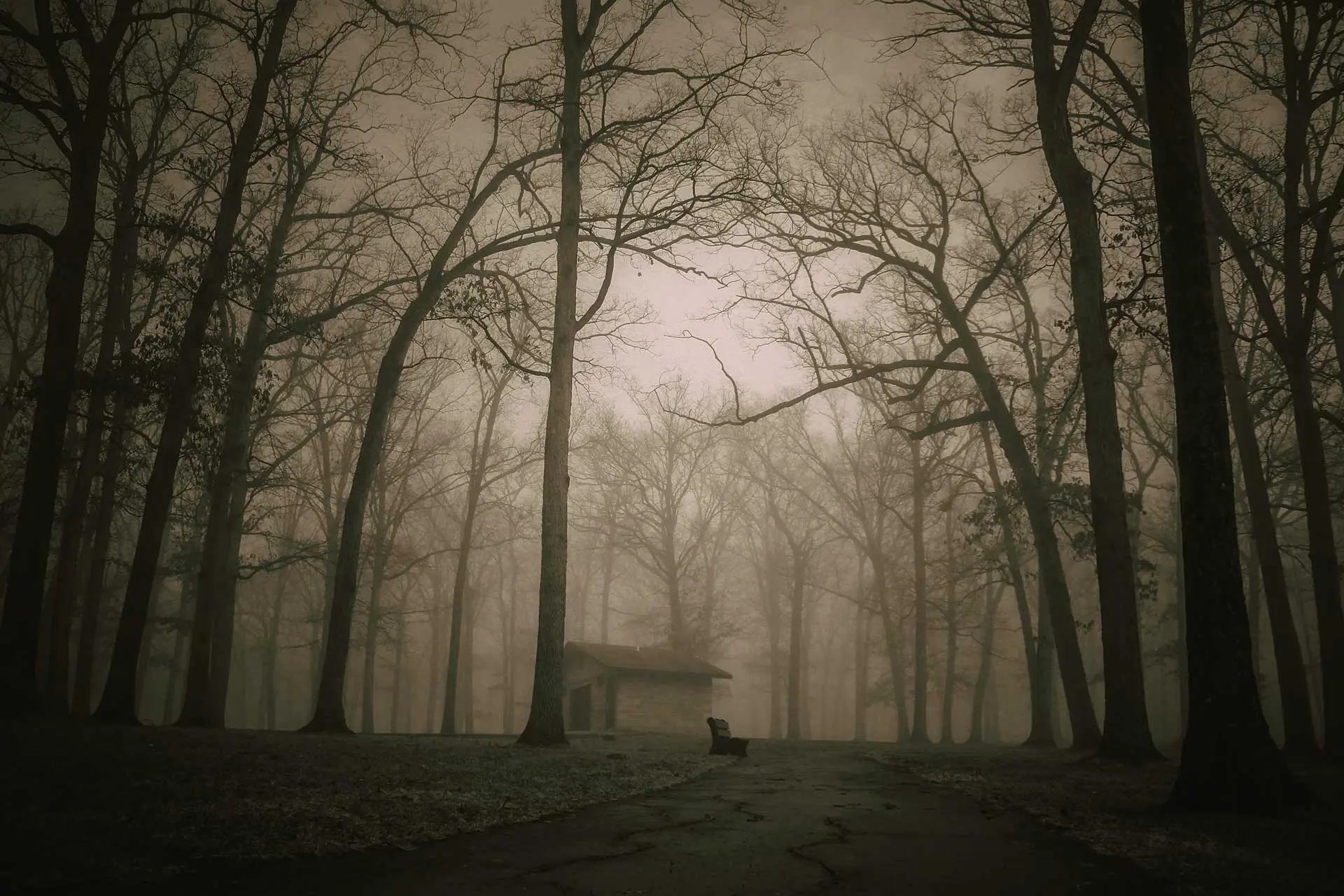 A foggy forest scene with tall, bare trees surrounds an isolated cabin. A weathered bench sits on a cracked path leading to the cabin, its eerie silence reminiscent of tales where pct deaths linger in whispered legends.
