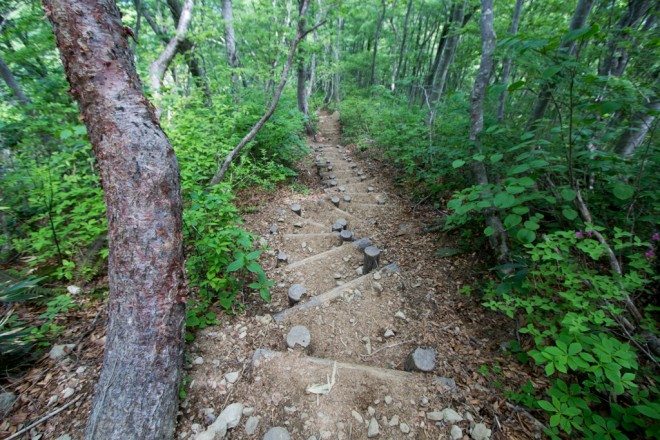 Mt Arashima Trail 1