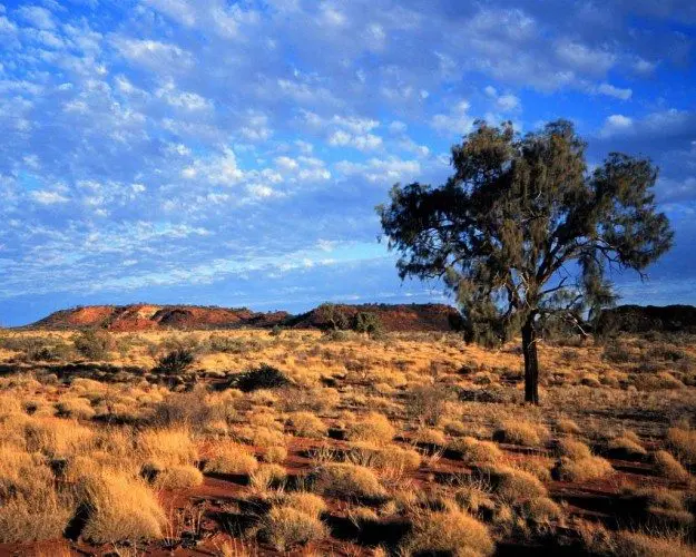 Australian-Outback-Landscape