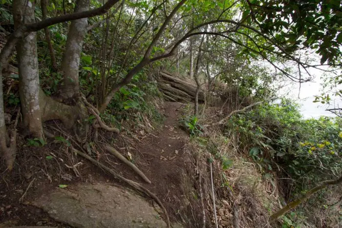 brazil-rio-pao-de-acucar-trail-10