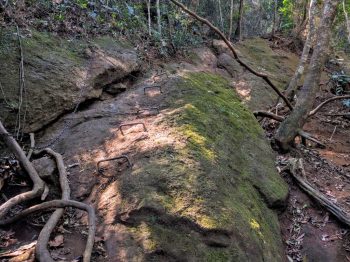brazil-rio-de-janeiro-corcovado-climb