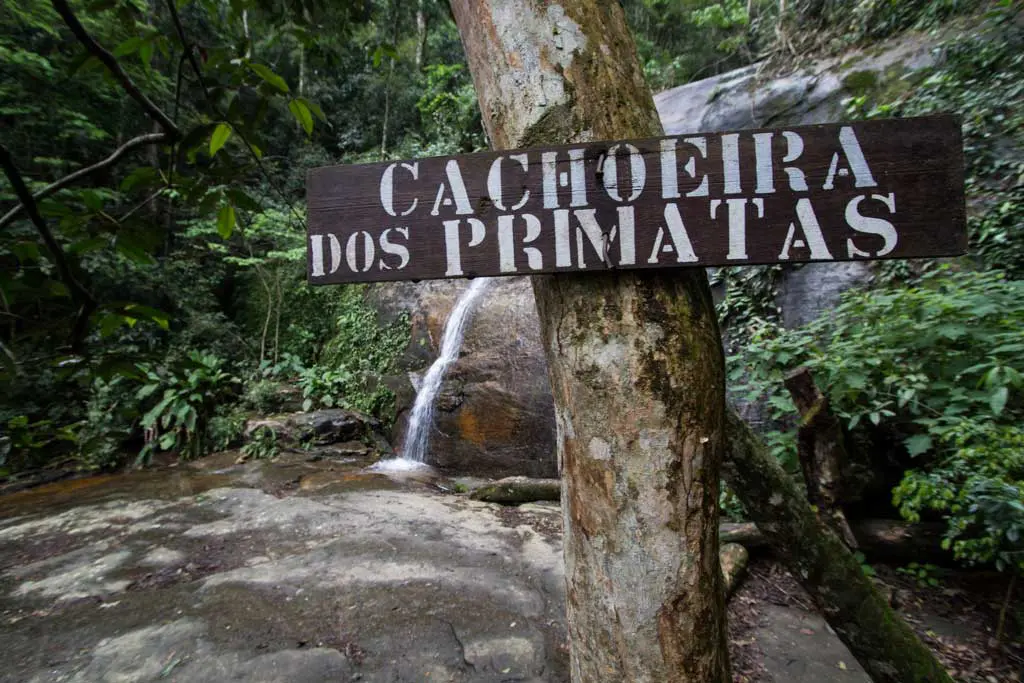A rustic wooden sign that reads Cachoeira dos Primatas is nailed to a sturdy tree, perfectly complementing the enchanting scene of a small waterfall cascading in the lush greenery of the rainforest.
