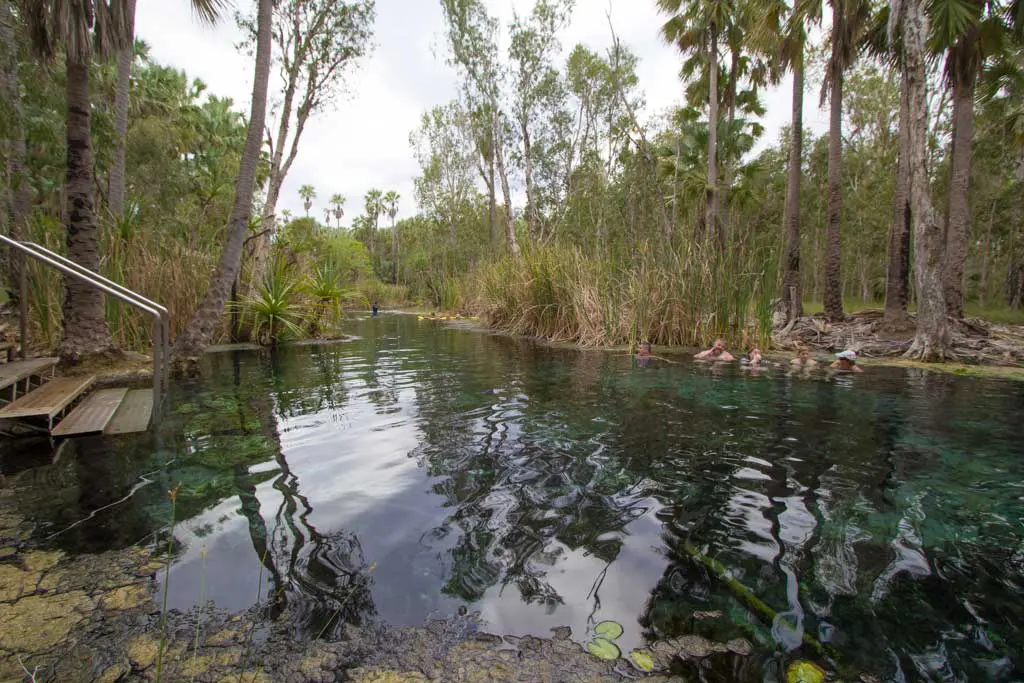 Nestled in a lush, green oasis, the serene natural hot spring is surrounded by tall trees and dense vegetation. As part of an unforgettable Australia bike tour, visitors relax in the clear waters while a rustic wooden staircase provides easy access to this peaceful retreat.