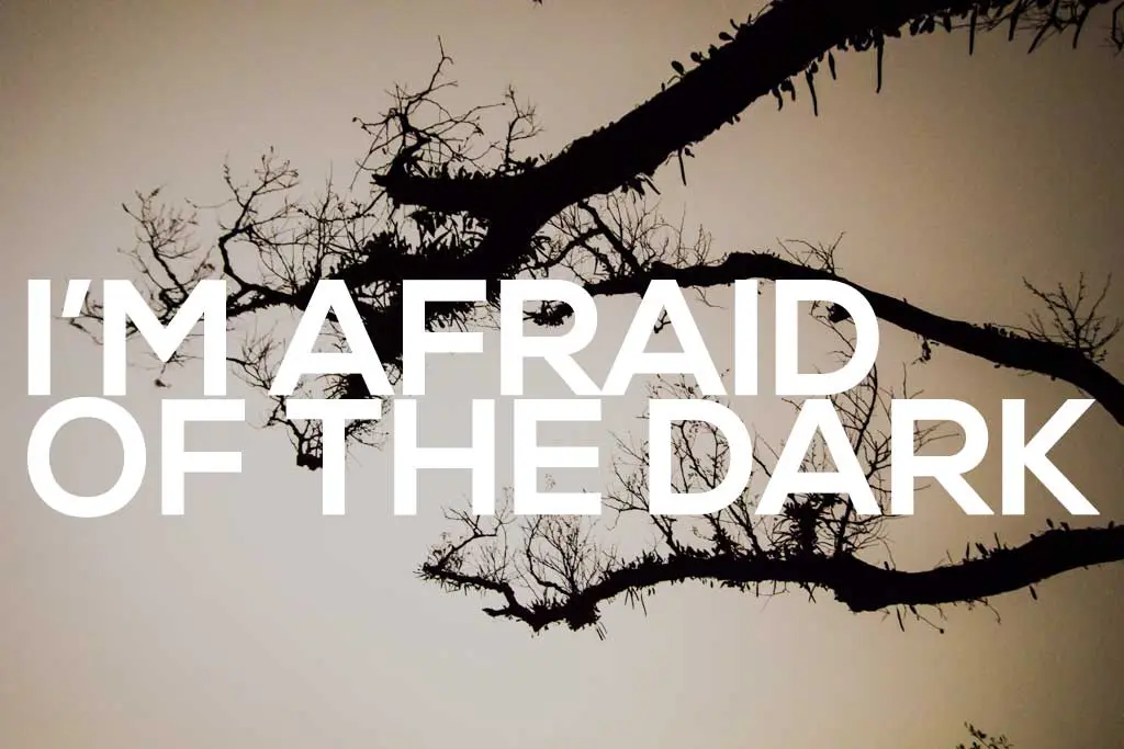 A silhouette of a bare tree branch stretches across a dimly lit sky. Large, bold white text over the image reads, FEAR OF DARKNESS.