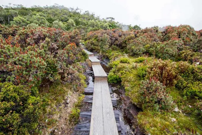 Tasmania-Overland-Track-Infrastructure-3