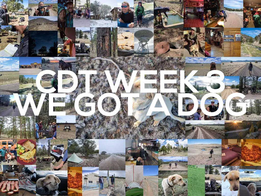 A collage showcasing vibrant outdoor and hiking scenes along the Continental Divide Trail, featuring people and their adventurous new companion, a dog. The central text reads CDT Week 3 We Got a Dog, surrounded by breathtaking landscapes, serene camping moments, and the dog exploring various settings.