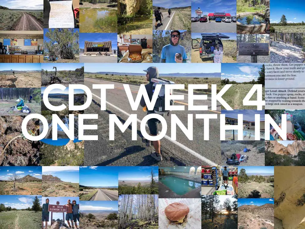 Collage of vibrant outdoor scenes and activities on the Continental Divide Trail. Center text reads CDT Week 4 One Month In. Images feature stunning trail views, adventurous hikers, rugged vehicles, delicious food, and essential camping gear.