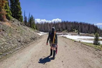 CDT-Colorado-Moist-Alternate-Forest-Road