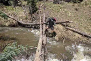 CDT-Colorado-Moist-Cumbres-Stream