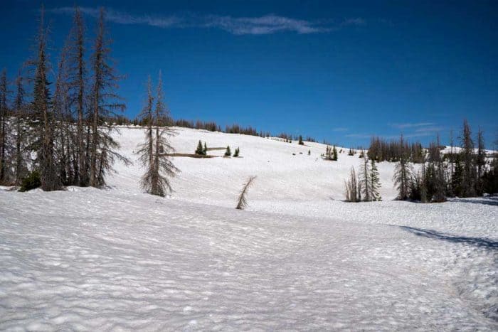CDT-Colorado-Snow-Trees-Blue-Sky