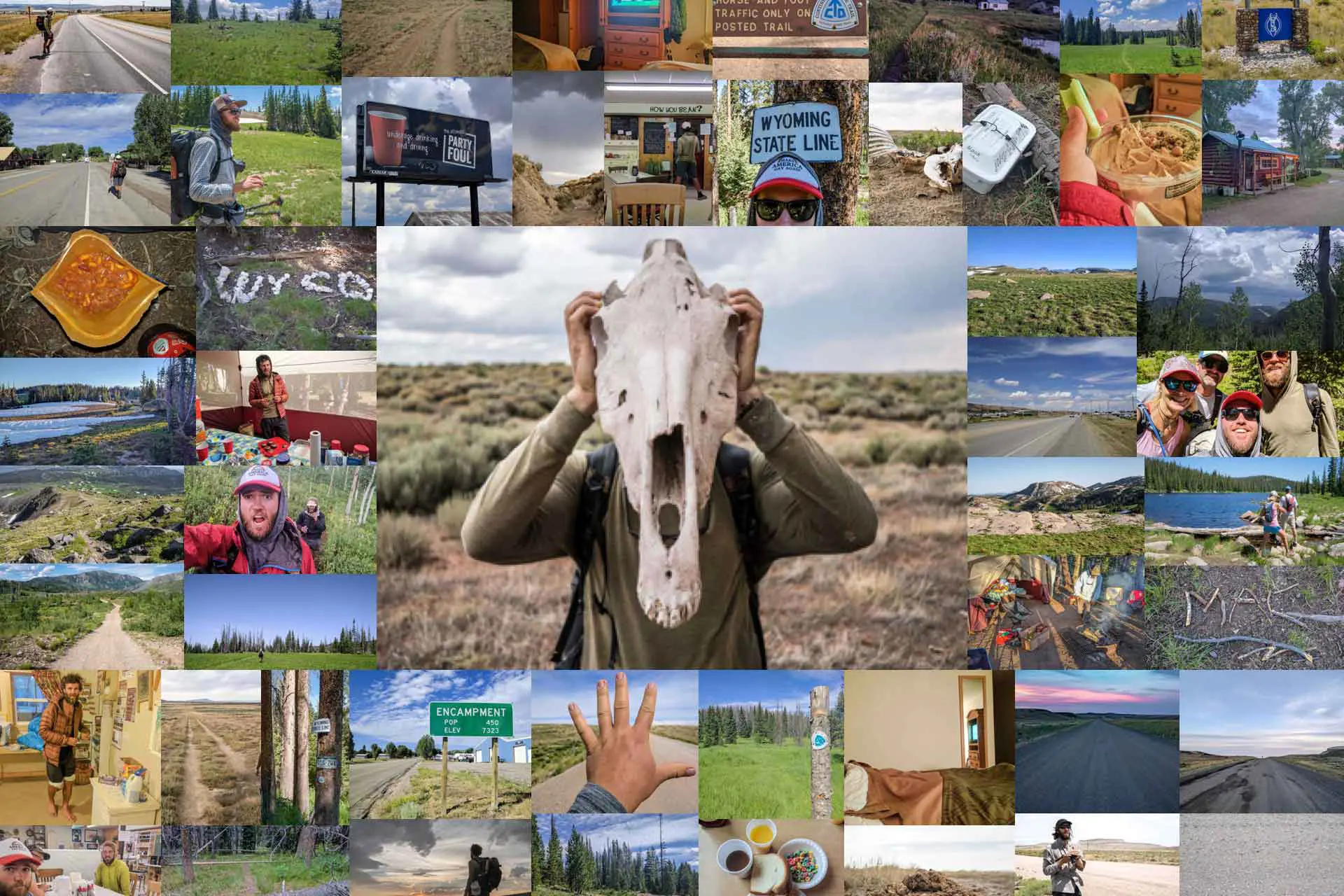 A collage of outdoor adventure photos from CDT Week 12 showcases a person holding a large animal skull, diverse landscapes, road signs, meals, and people. One sign reads Wyoming State Line, capturing the essence of travel and exploration in picturesque natural settings.