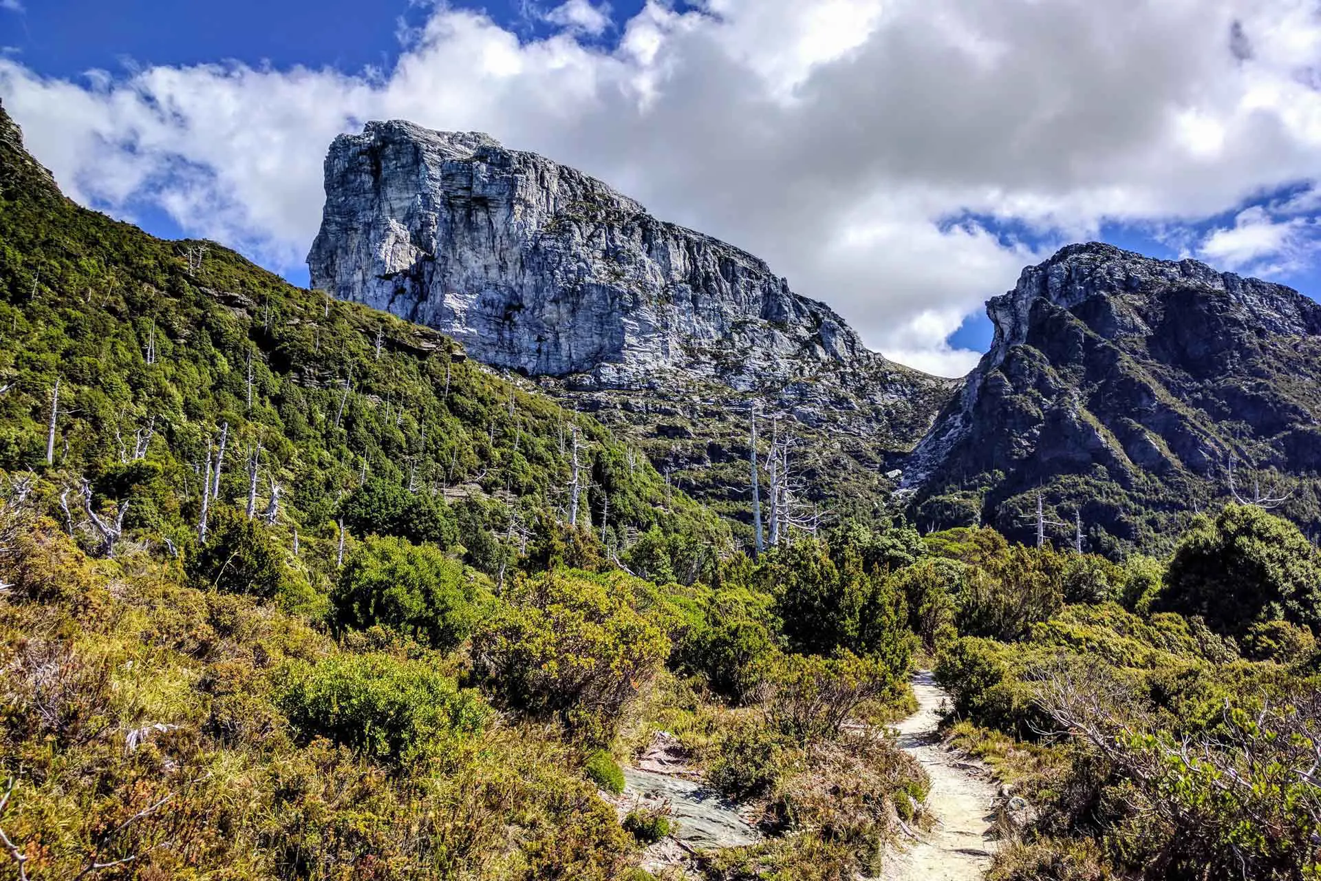 A rugged mountain landscape featuring the prominent rocky peak of Frenchmans Cap under a partly cloudy sky. The foreground includes dense green vegetation and a narrow dirt path leading toward the majestic mountain.