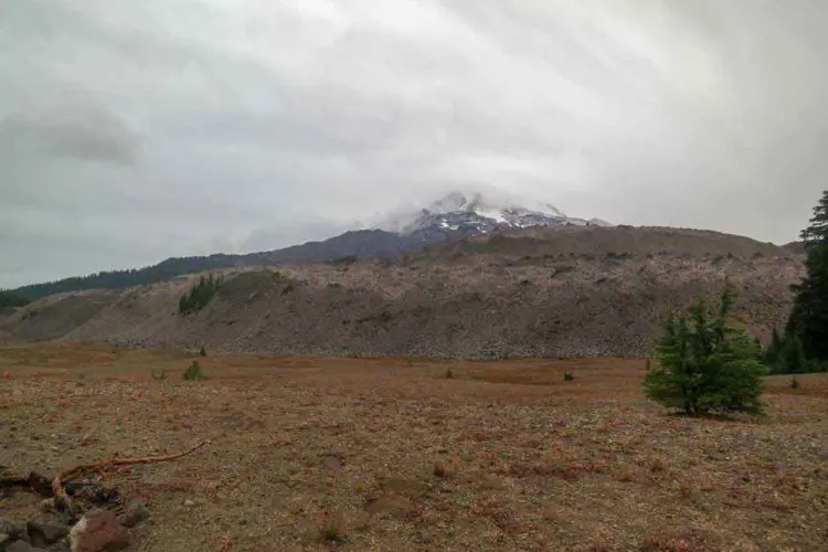 PCT Oregon Sisters