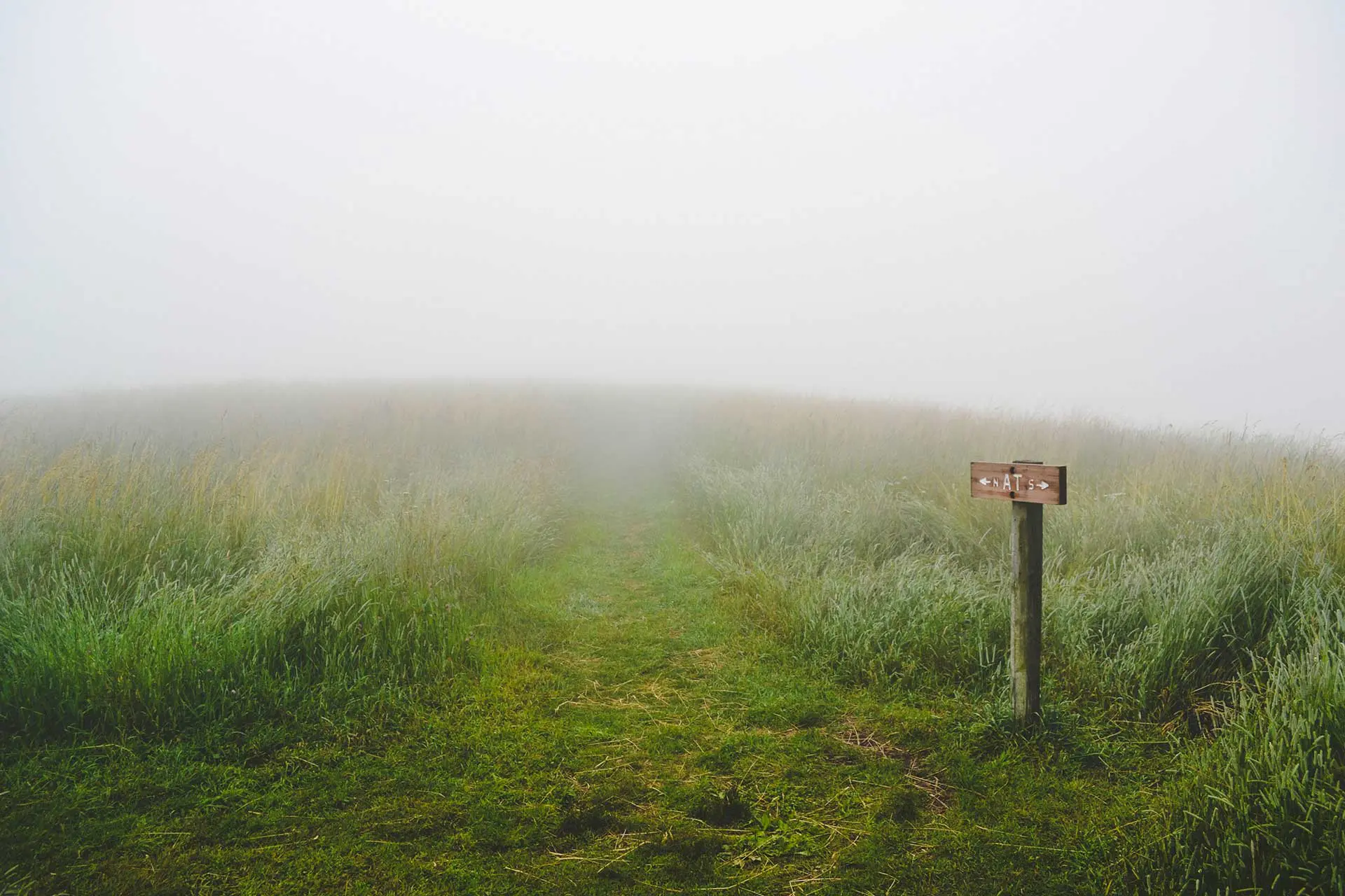 A foggy field with a narrow, grassy path reminiscent of the Appalachian Trail stretches forward. Tall grass flanks the pathway, and a simple wooden sign stands on the right near the beginning of the path, partially obscured by fog.
