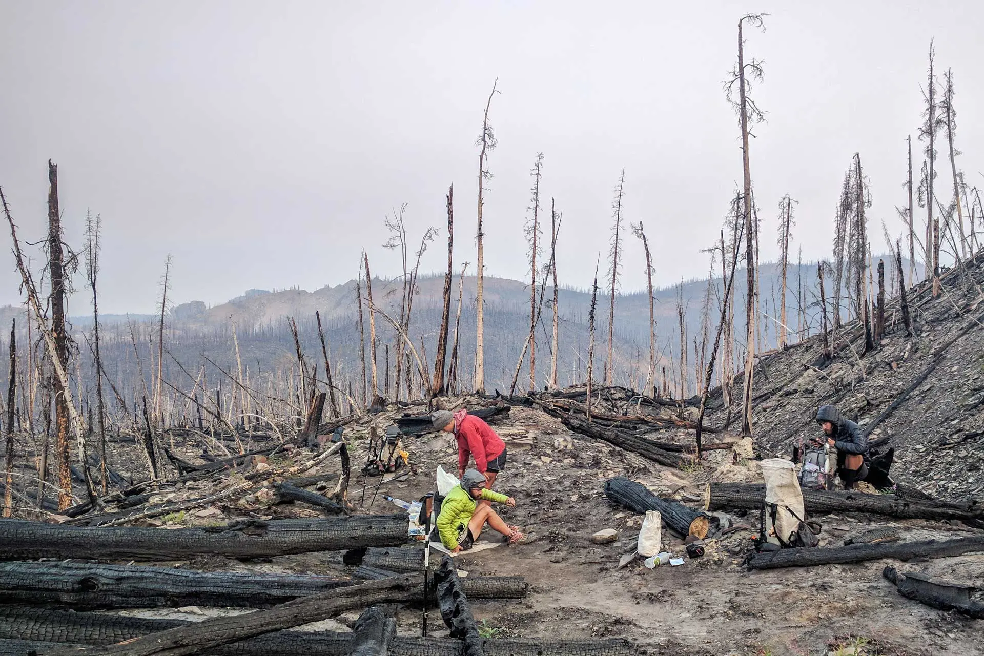 Three people in bright clothing rest in a charred forest landscape with burned trees, as an air of quiet fear lingers. The ground is ashy, and they appear to be taking a break amidst the devastation. A foggy sky looms overhead, enhancing the somber mood.