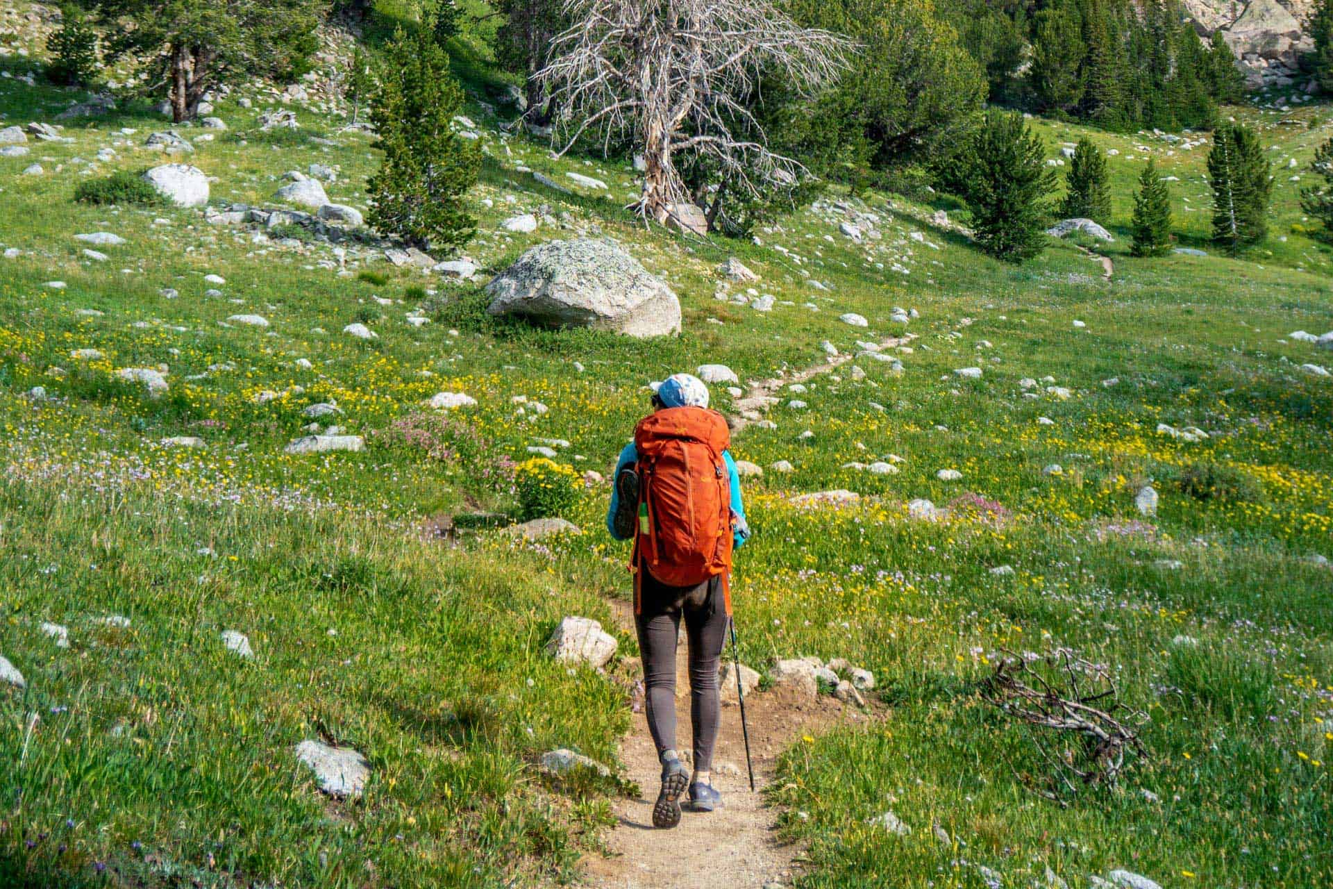 A hiker with an orange backpack navigates a narrow trail through a lush green meadow, dotted with yellow flowers and surrounded by trees and rocky terrain. Explore the womens gear guide to ensure youre equipped for any adventure.