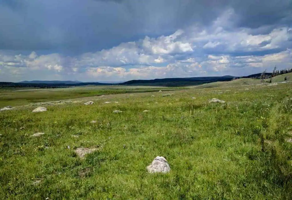 CDT Wyoming Grassy Field