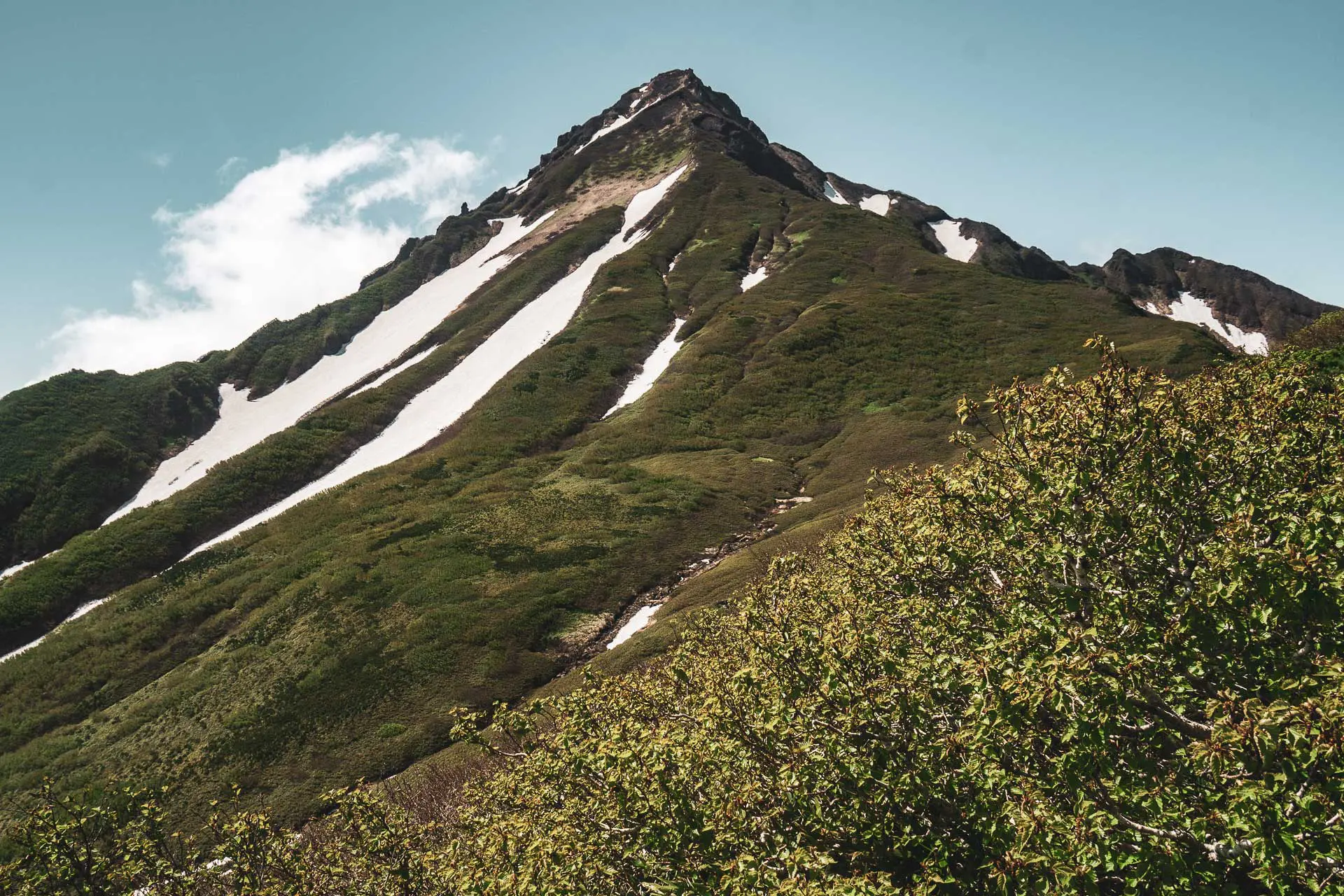 Mount Rishiris triangular peak showcases patches of snow and greenery under a clear blue sky, with lush foliage in the foreground.