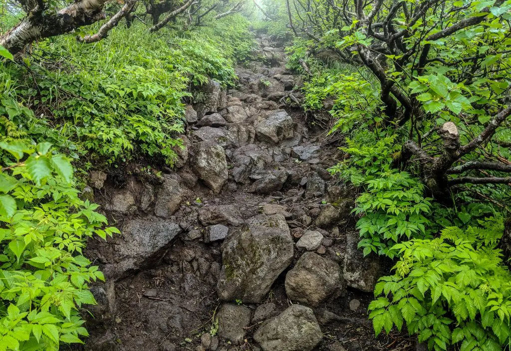 Mount Rishiri Trail