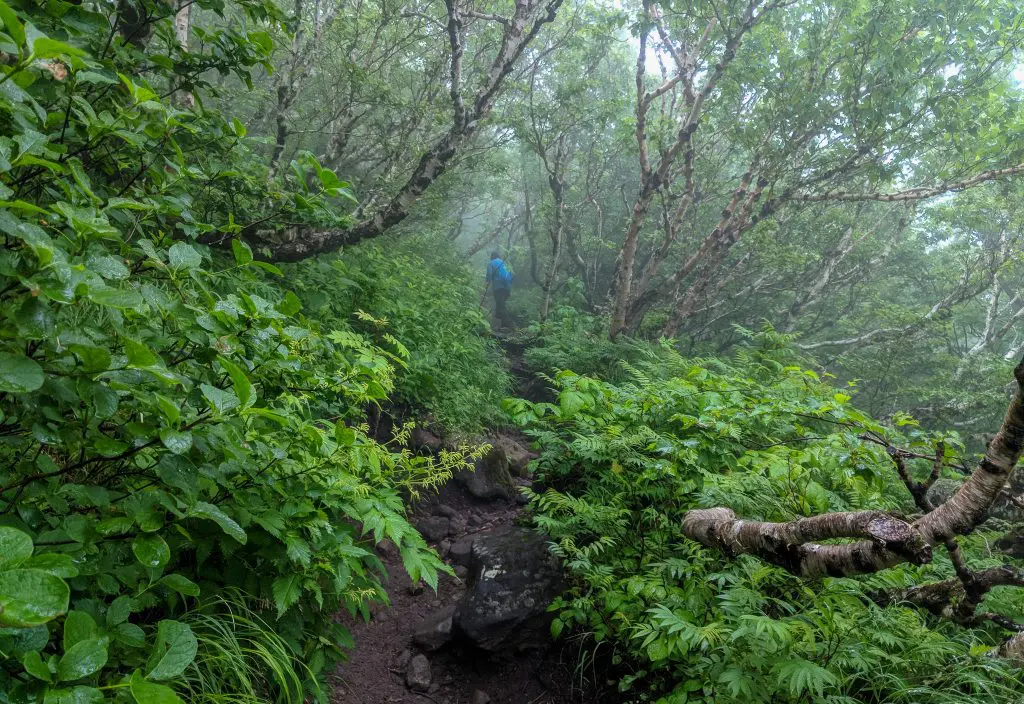 Mount Rishiri Lower Trail