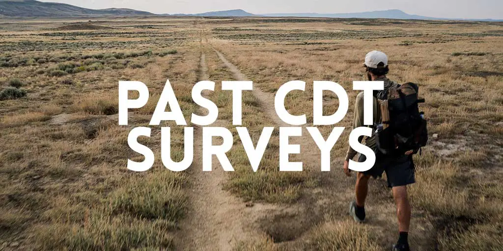 Past CDT Surveys