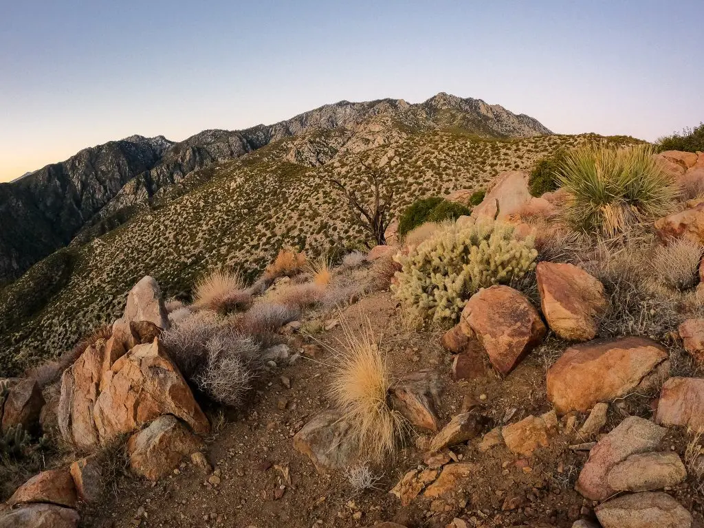 Cactus to Clouds Trail San Jacinto View