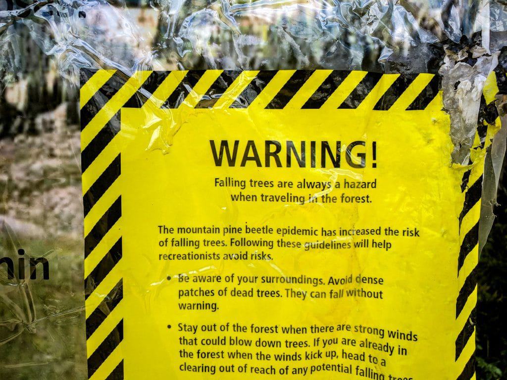 Warning - falling trees