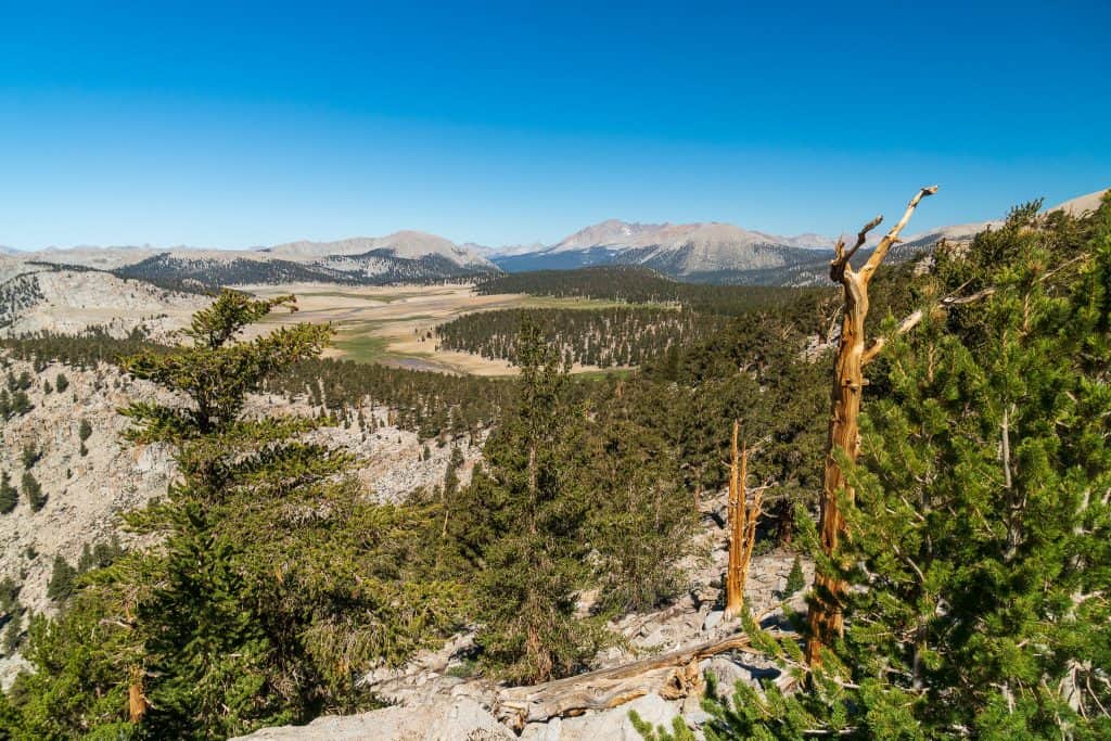 Inyo National Forest Trail Pass