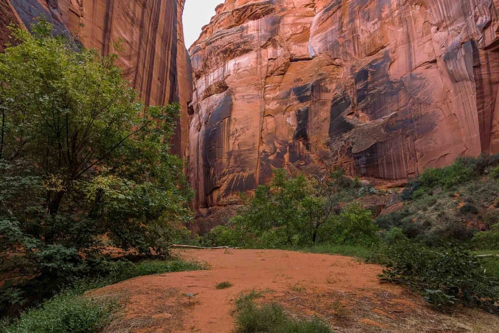 Buckskin Gulch - Paria Canyon Campsite 2