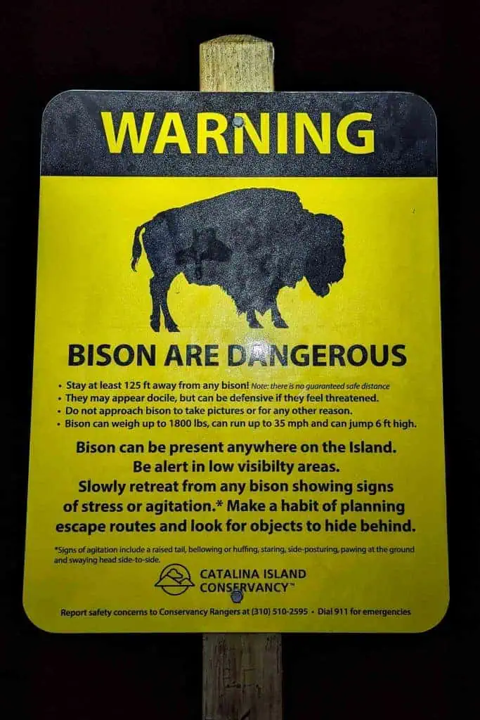 Trans-Catalina Trail Bison Danger Sign