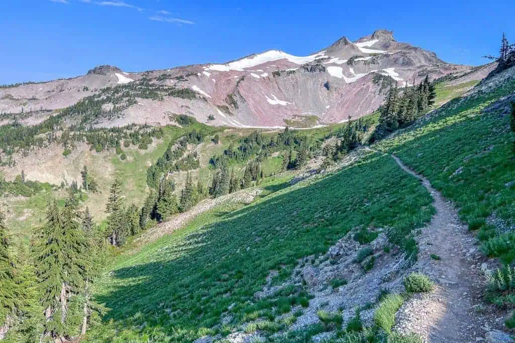 PCT Oregon Mount Hood