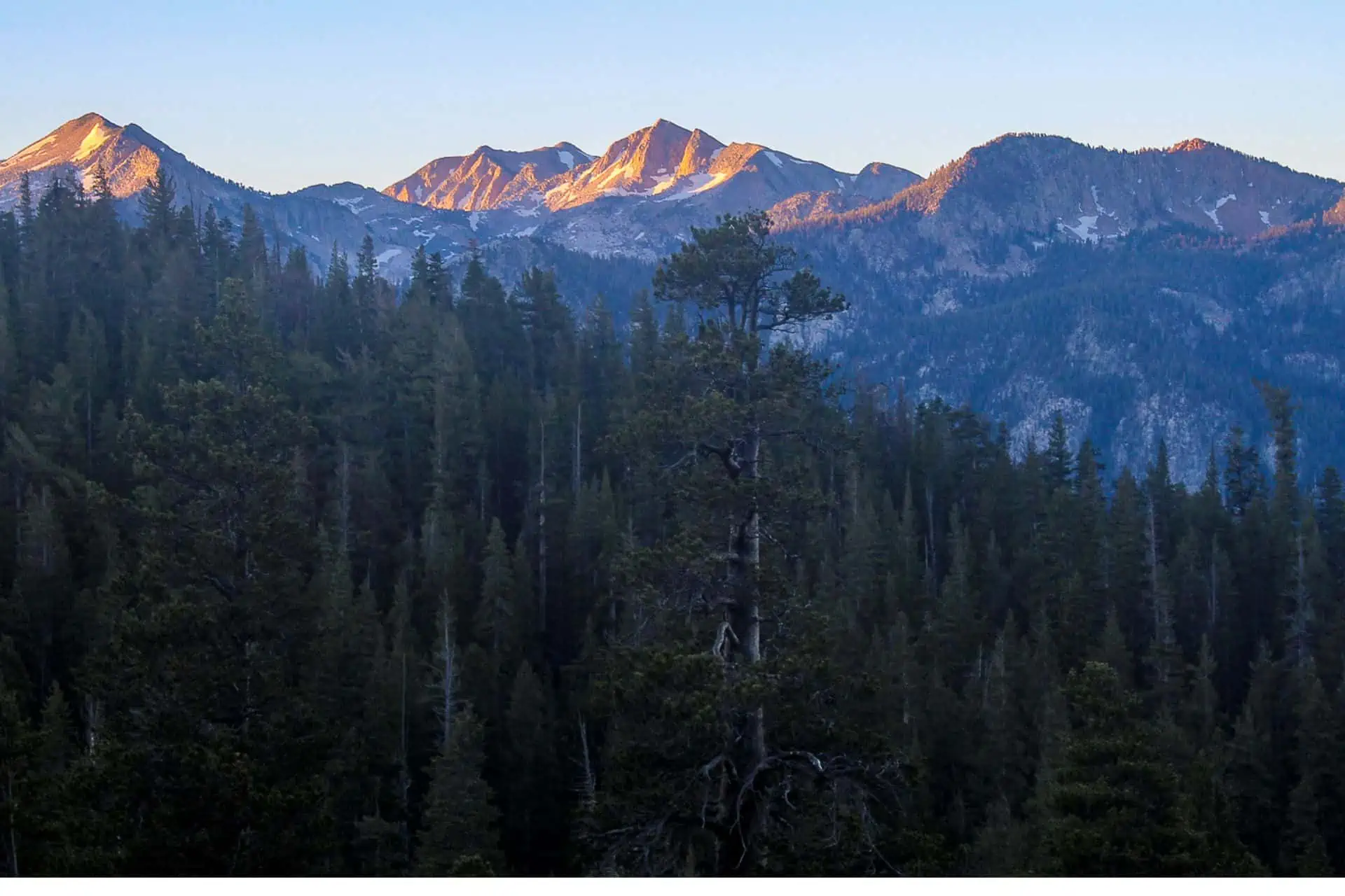 The mountain range at sunset, its peaks bathed in orange light, resembles a scene from the JMT Gear Guide 2024. A dense pine forest cloaks the lower slopes under a clear sky, crafting a peaceful and serene landscape.