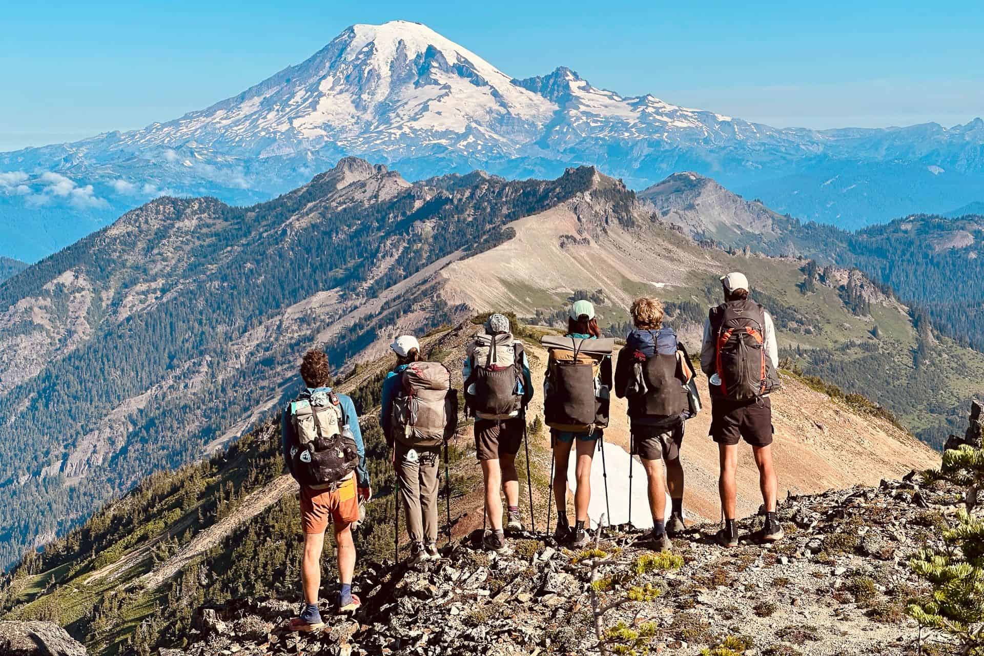 A group of hikers standing in a line and looking at a snow-capped mountain in the distance