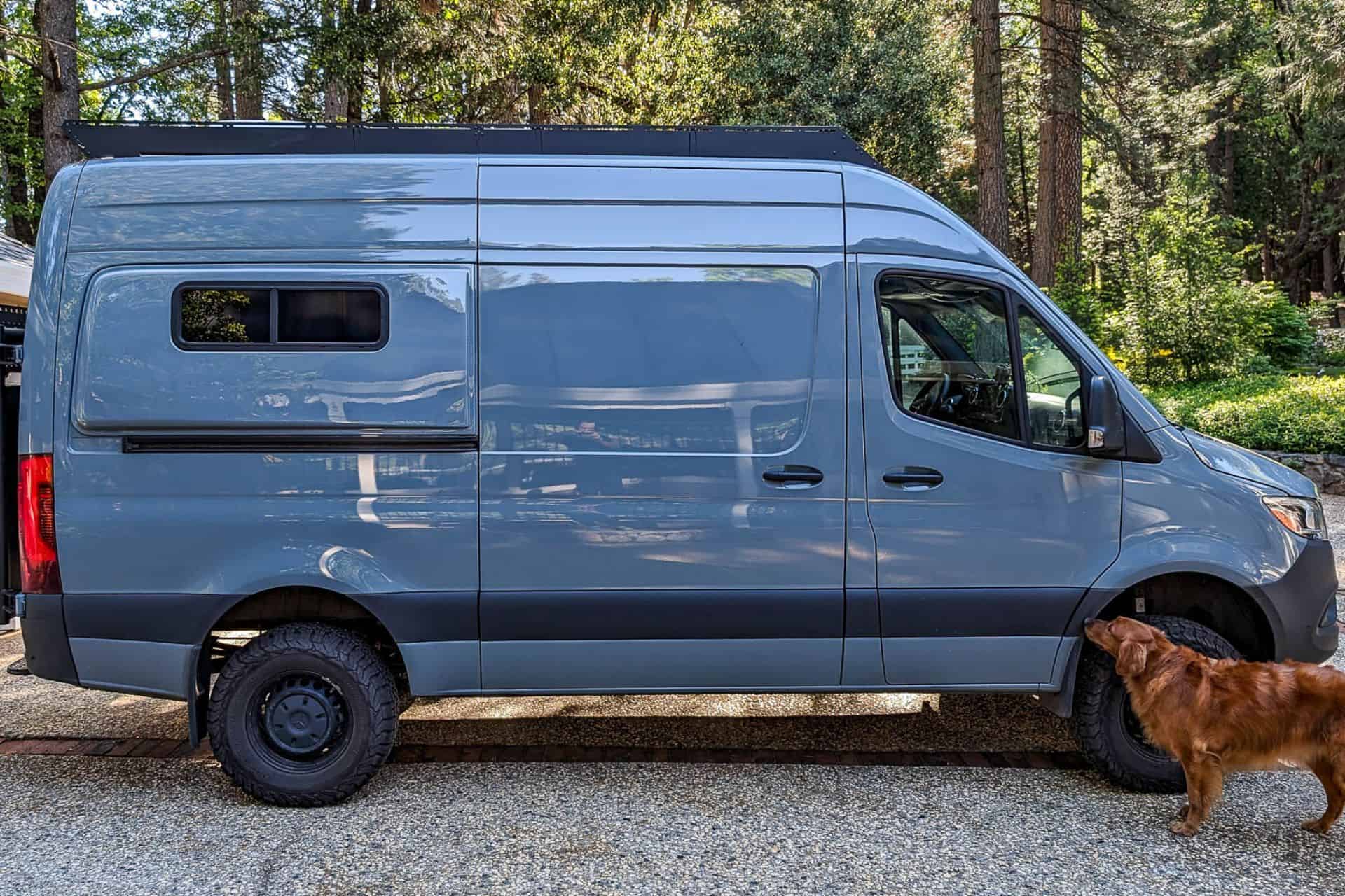 A blue camper van, reminiscent of the 2023 Mercedes Sprinter, is parked on a gravel path surrounded by tall trees. A brown dog sniffs the front wheel while sunlight filters through the branches in this serene wooded area.