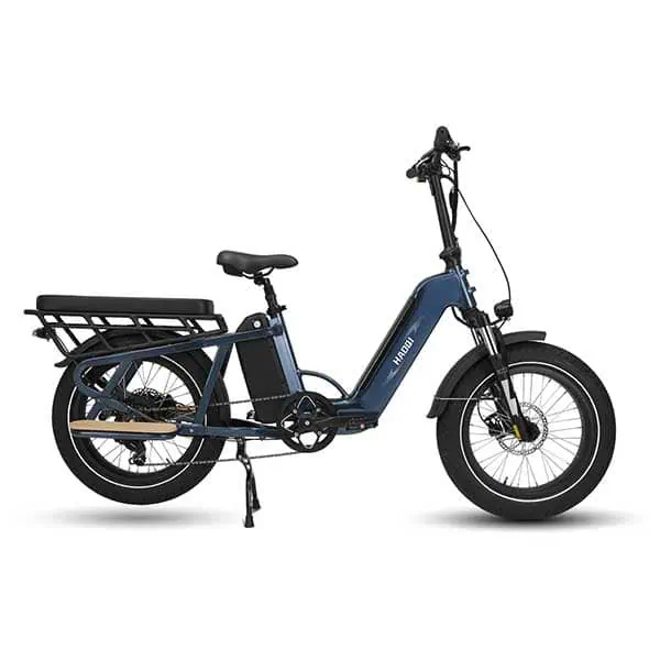HAOQI Camel Electric Cargo Bike