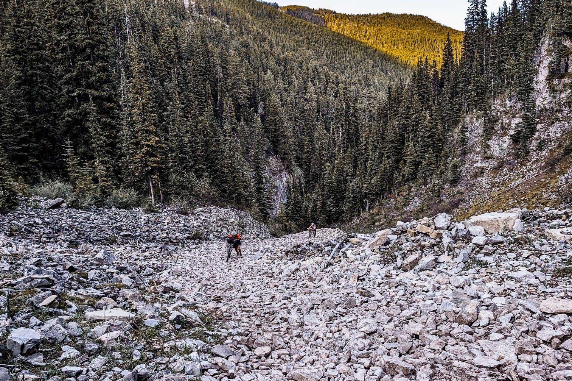 Two hikers traverse a rocky path in a mountainous forest area, using elevation data to guide them. Tall evergreen trees line the slopes as sunlight illuminates the distant hilltops. The rugged terrain offers a challenging adventure akin to the renowned Tour Divide route.