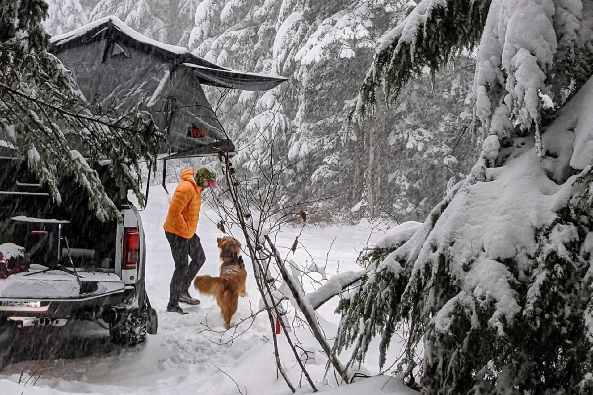 A person in an orange jacket plays with a dog in a snowy forest beside a truck equipped for car camping. The truck, featuring a roof tent, is surrounded by snow-covered trees, creating a wintery scene perfect for any gift guide on outdoor adventures.