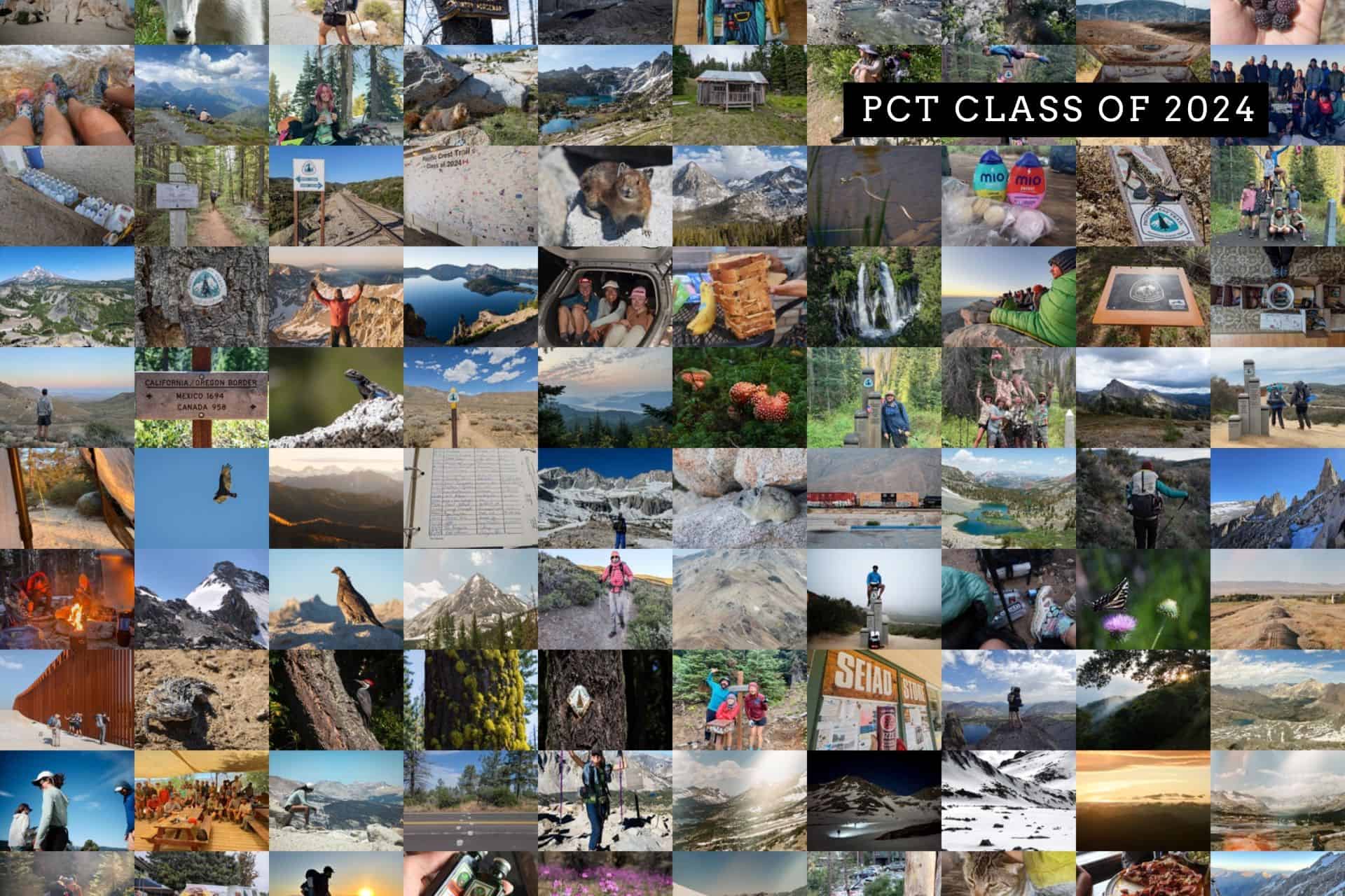 Collage of various outdoor scenes related to the Pacific Crest Trail (PCT) Class of 2024. Images include landscapes, hikers, wildlife, trail markers, and camp setups, showcasing diverse hiking experiences and natural beauty captured in the Pacific Crest Trail Survey 2024.