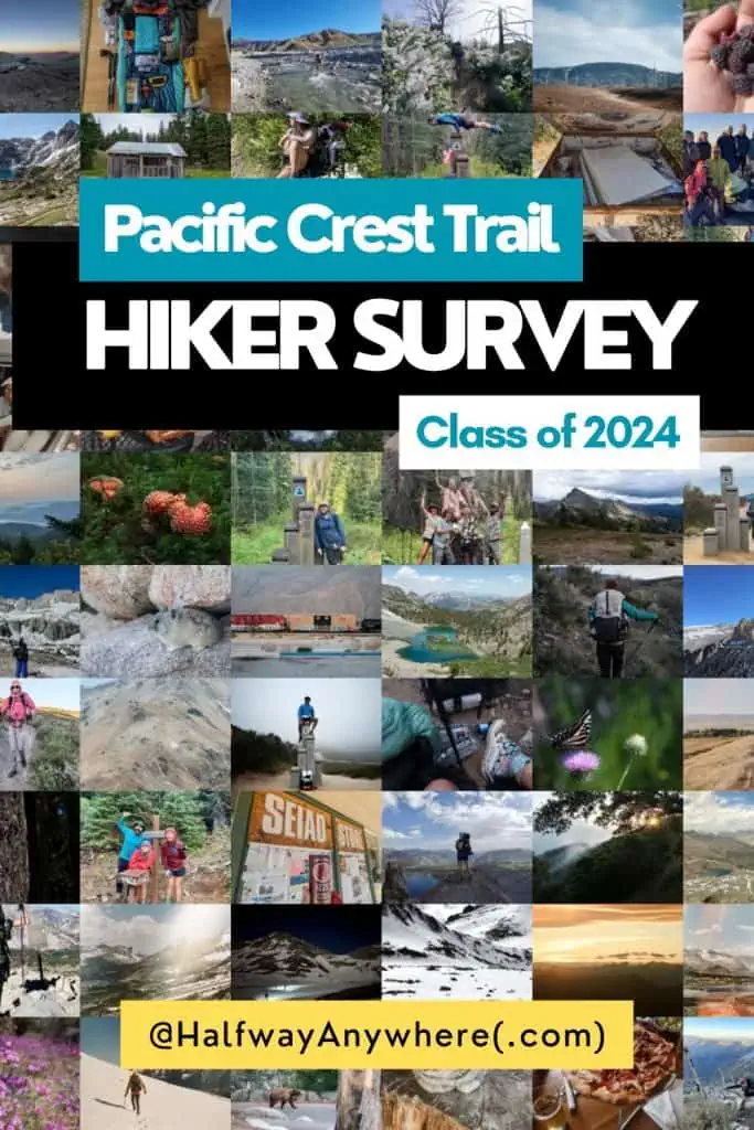 Pinterest - 2024 PCT Survey