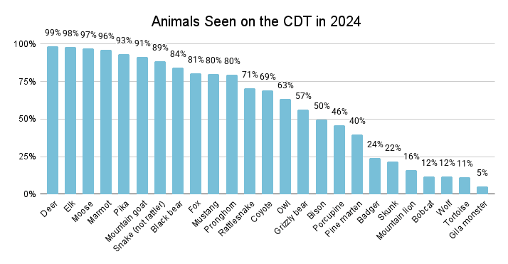 Animals Seen on the CDT in 2024 Graph