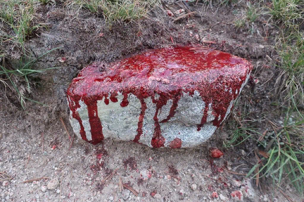 A stone partially embedded in the ground is covered with a shiny, red, blood-like substance dripping over its edges. This eerie scene, reminiscent of tales from PCT horror stories 2024, is surrounded by grass tufts and dirt.