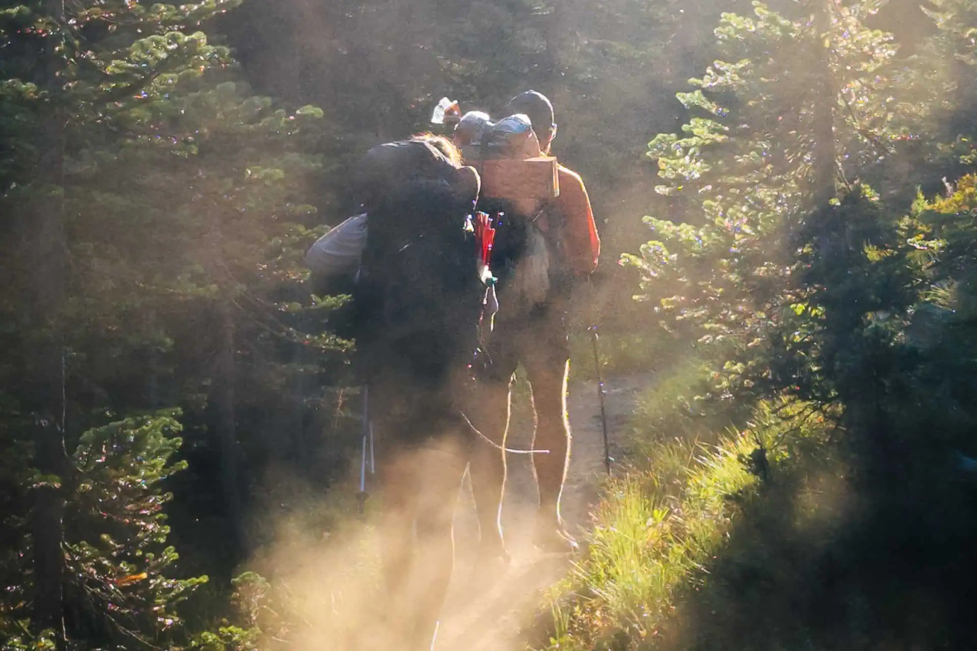 Two hikers on a sunlit forest trail, surrounded by tall trees. Sunlight streams through the branches, illuminating dust in the air as the hikers, reflecting on their worst moments from PCT 2024, walk closely together along the path.